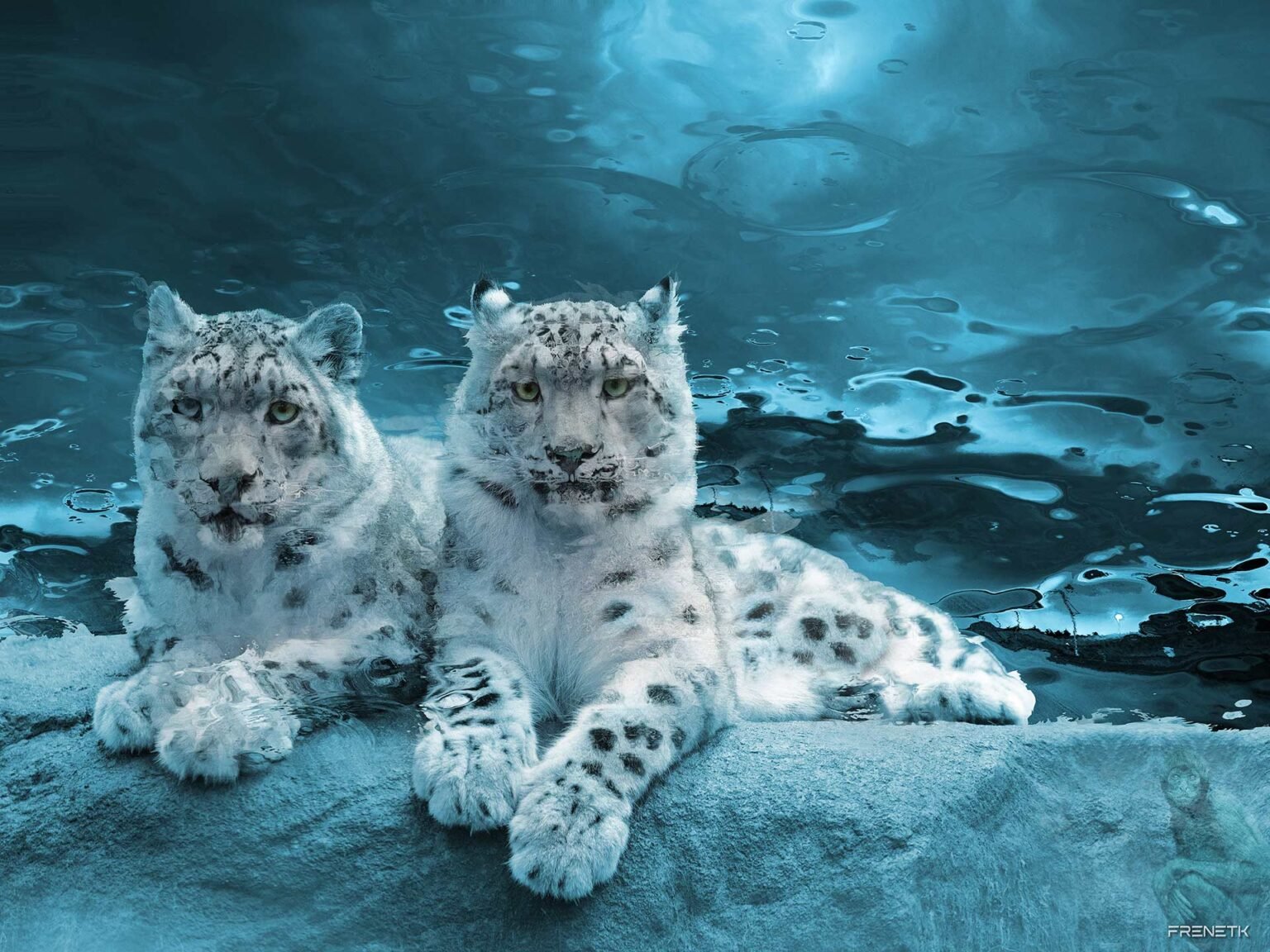 snow mates in Monterey small