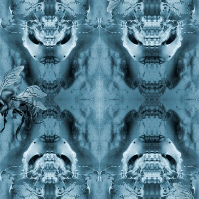 PHANTASMAGORIA