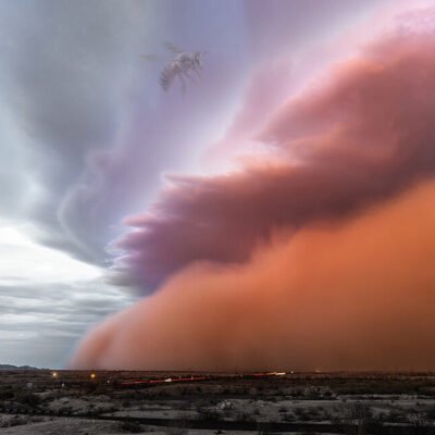 Pink Cloud