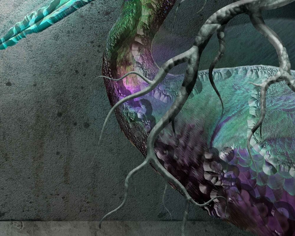 The Comeback - Image 3