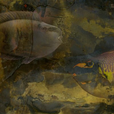 Passing in the night