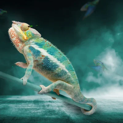 CHAMELEON ASCENDING