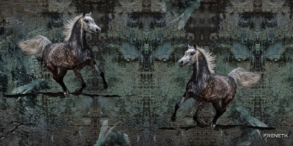 Horseys on call