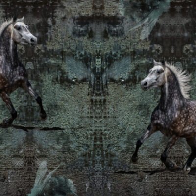 Horseys on call