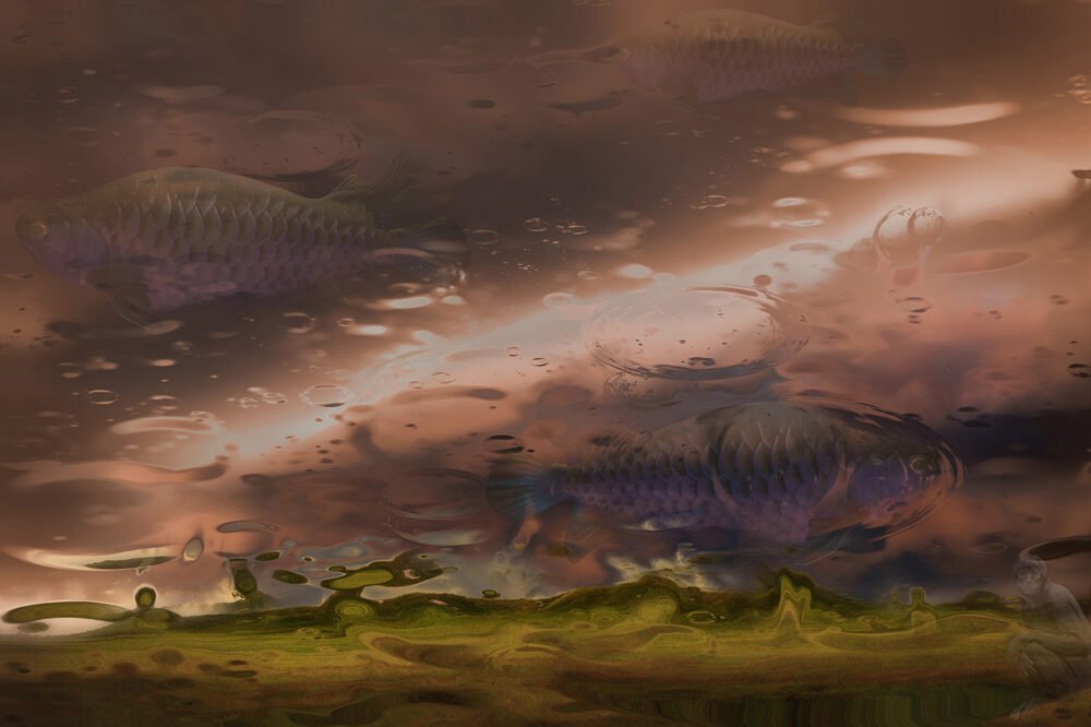 Arowanas in salmon