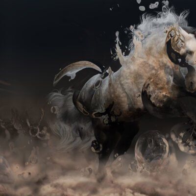 MARE IN TRANSIT